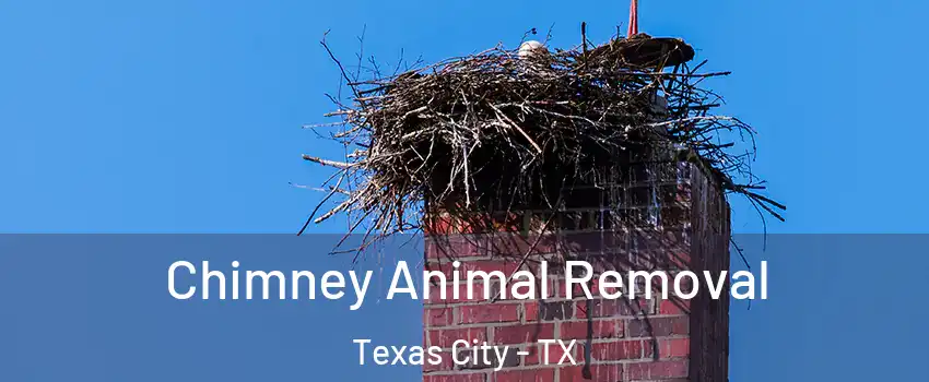 Chimney Animal Removal Texas City - TX
