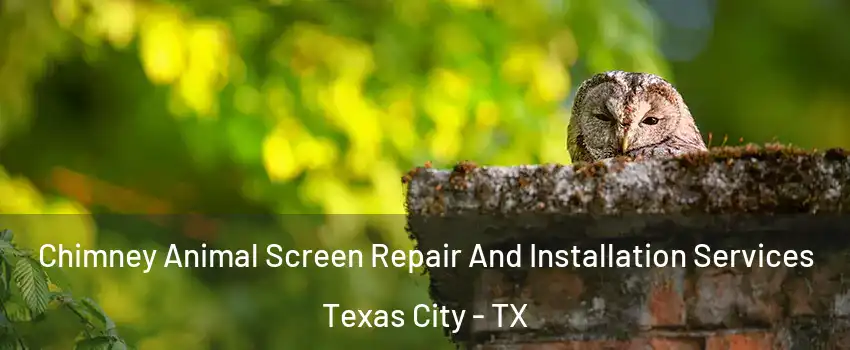  Chimney Animal Screen Repair And Installation Services Texas City - TX
