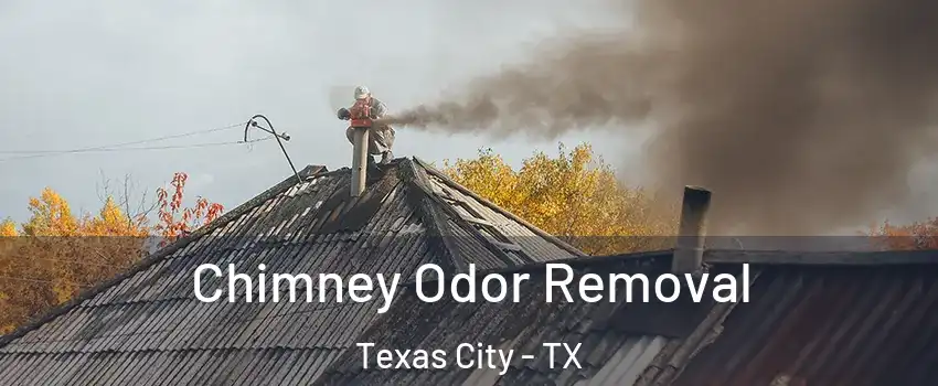  Chimney Odor Removal Texas City - TX