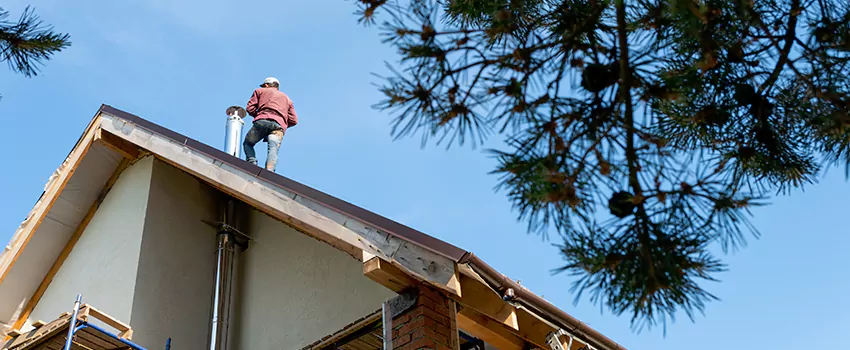 Birds Removal Contractors from Chimney in Texas City, TX
